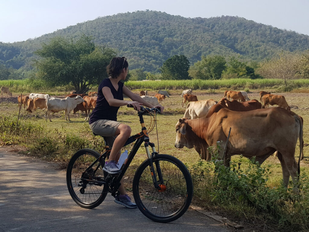 Front_slider_Bicycle-Tour-Sukhothai-19
