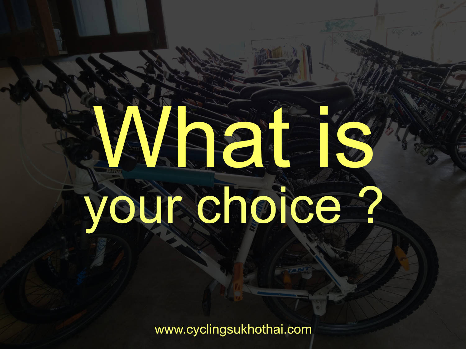 What-is-your-Choice